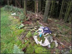 IMG_20171001_174550404_01