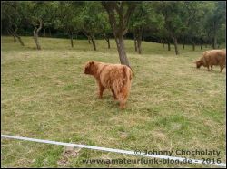IMG_20160717_154213368_01