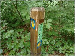 IMG_20160717_154732401_01