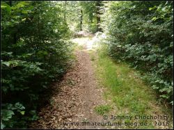 IMG_20160717_160133192_01