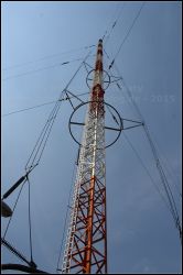 IMG_0950_LR_01