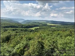 IMG_20180531_155057122_HDR_01