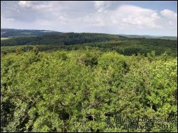IMG_20180531_155446486_HDR_01