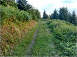 IMG_20160727_194433961_HDR_01