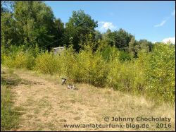 IMG_20160815_162737293_01